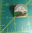 Older Alaska Pin Skagway Alaska Nice Souvenir Pin With Train Engine 1  Tall Nos
