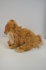 Webkinz Signature Pomeranian Nwt Unused Adoption Code Retired Ganz Wks1015