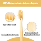 Bamboo Toothbrush 10 Pcs Wooden Toothbrushes Organic Wood Natural Eco Friendly
