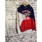 Nickelodeon Hoodie Mens Xl Nineties Nick At Night Rugrats Colorblock Sweatshirt