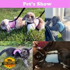 Ferret Harness Leash Set Pink M Rabbit Guinea Pig Small Animal