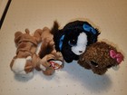 Lot Of 4 Ty Plush Stuffed Animals Beanie Boos    New  Never Loved