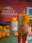 New    disney Parks 2025 Starbucks Mickey Pumpkin Fall Tumbler Cup With Handle
