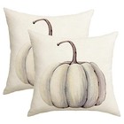 Fall Decorations White Pumpkin Throw Pillow 20  X 20   pack Of 2  Pumpkin 1