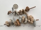 22 Holey Beach Rocks Hag Adder Stone Fairy Wish Magic Natural Bead Lucky 6n Usa