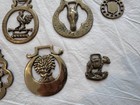 Brass Horse Medallion Lot Of 11 Vintage Estate