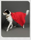 Handmade Anime Superman Superdog Krypto Cosplay Cloak Dog Pet Cape New Halloween