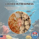 Yizeril Freeze Dried Brine Shrimp Cubes -100  Natural Protein Fish Food Aquat