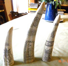 Special Listing For Andreas Bark    Scrimshaw Collection