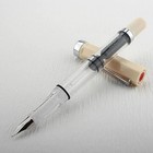 Eco Fountain Pen Transparent Piston Resin Multiple Colors Nib Sizes