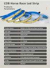 10m-40m Cob Led Strip Set Ws2811 Ic Horse Race Flowing Led Strip 24v 360leds m