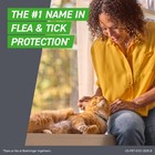 Frontline Plus For Cats   Kittens  Flea   Tick Topical  3 Doses