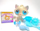 Littlest Pet Shop Grey White Bonbon Sitting Cat  53 With Accessories Authentic