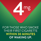 Equate Coated Nicotine Polacrilex Gum 4 Mg  nicotine   Fruit Flavor  200 Count