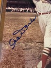 Alvin  al  Dark Signed Autographed St  Louis Cardinals 8x10 Color Photo