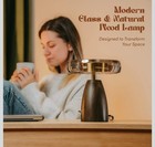 Modern Decorative Table Lamp  Scandinavian Minimalist Mid-century Retro Vintage