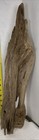 Driftwood Pine Taxidermy Terrarium Beach House Decor Centerpiece