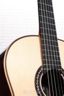 Cordoba C12 Sp Nylon String Acoustic Guitar - Spruce