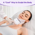 3 Handles Freezing Double Chin Removal Cool Therapy Body Care Beauty Machine