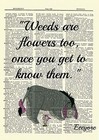Eeyore Winnie The Pooh Dictionary Art Print Picture Poster Weed Quote Nursery