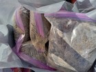 Guaranteed Gold Paydirt  Added Gold Nuggets   Naturally Occurring Flakes   1lb 