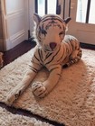 Jumbo Melissa And Doug White Bengal Tiger Plush Stuffed Animal Realistic