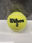Andy Roddick Signed Wilson 2 Tennis Ball Autographed     Us Open Champ