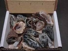Oco Geode 1 2 Lb Lot Natural Polished Agate Crystals Druzy Geode Halves