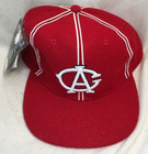 Chicago American Giants Negro League Baseball Fitted Hat Cap Size 7 5 8 New Tags