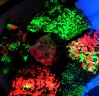 18lbs  Wholesale Lot Franklin Nj Fluorescent Rocks Uv Minerals Willemite Calcite