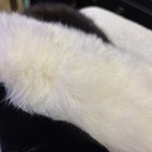 New White Rare  Fox Collar     Finland Origin     Satin Lined     Luxury Real Fur Wrap