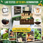 75 Herb   Vegetable Seeds Variety Pack