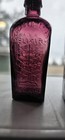 2 Miniature Purple Straushullers Case Gins