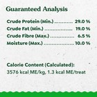 Greenies Feline Smartbites  Cat Treats Healthy Recipe  Indoor Cat Treats  Chicke
