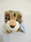 Webkinz Lil  Kinz Leopard Hs031 New  Sealed  Unused Code