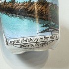 Ontario Oregon Ore Antique Hatchery Souvenir Trinket Tea Painted Cup