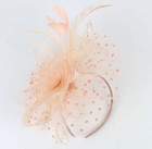 Fascinators Hats For Women Tea Party Flower Pearl Feather