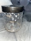 50  Black Rover Ant Queens