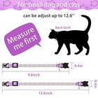 4 Pack Rhinestone Cat Collars Breakaway With Bell  Soft Velvet  4 Colors