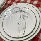 Set Of 10 Corelle Shadow Iris 1 Dinner 2 Lunch 2 Bread 4saucer Plates 1 Bowl