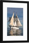 12x16 Picture Frame Black  Display Pictures 8 5x11 With Mat Or 12x16 Without Mat