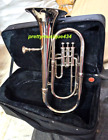 Baritone Horn Of Pure Brass Made In Chrome Polish  cushion Case   Free Fast Ship