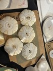 Vtg Mother Of Pearl Button Lot