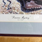 Paul A  Rossi    sonoran Mystery    Signed And Numbered 98 400 Print  1975