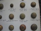 44 Antique Rhode Island Military Uniform Buttons