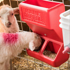 Kane Sheep Goat Mineral Feeder 1 5 Gallon Poly Livestock Feed Trough Usa Made