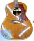 Gibson Acoustic Guitar B-25