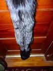 Huge Beautiful Tanned Silver Fox Fur Pelt Skin Taxidermy S3 Man Cave Log Cabin