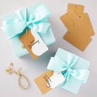 200 Pack Large Kraft Paper Gift Tags  Merchandise Tags  Brown  2 X 4 