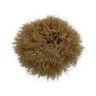 Wood Boar Shaving Brush  80005  - By Omega  used 